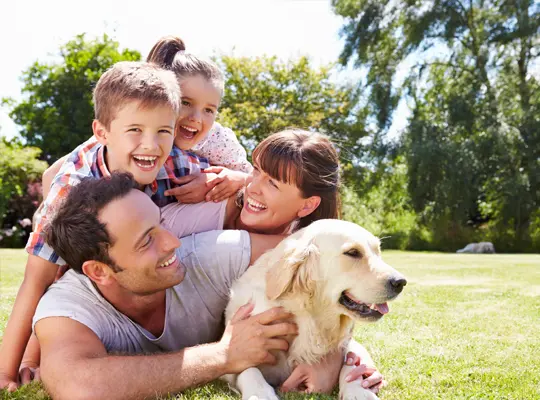 family pet cremation Jerseyville IL